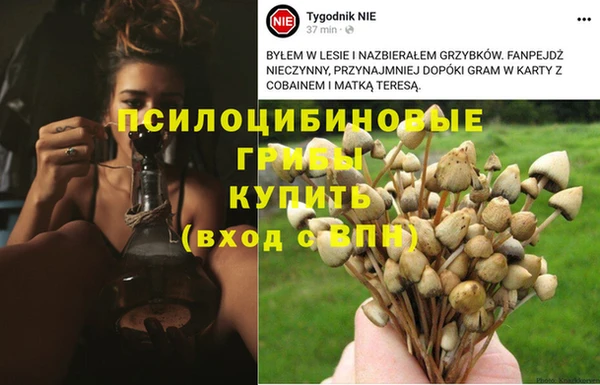 бутират Ростов