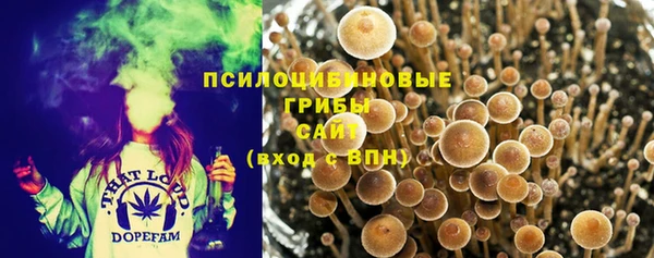 Альфа ПВП Алексеевка