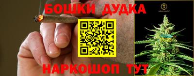 jwh Тавда