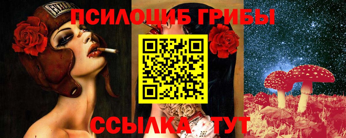 Бахчисарай  Псилоцибиновые грибы MAGIC MUSHROOMS  Вход с VPN 
